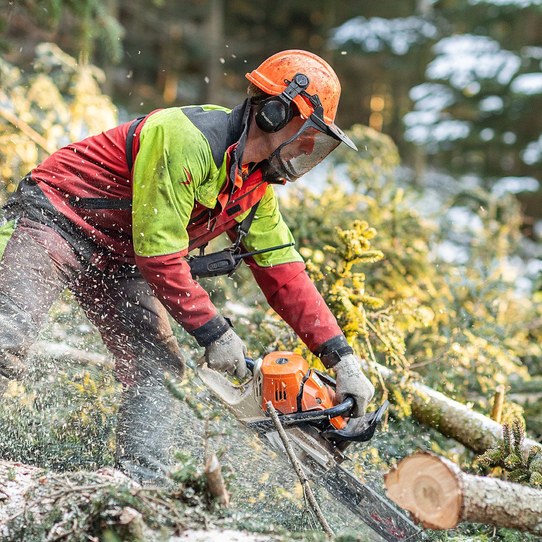 Forstarbeit im Emmental: klar geplant, wirkungsvoll umgesetzt