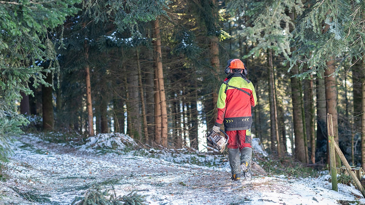 Als Forstwart pflegt Christoph Hirschi die Wälder im Emmental nachhaltig.