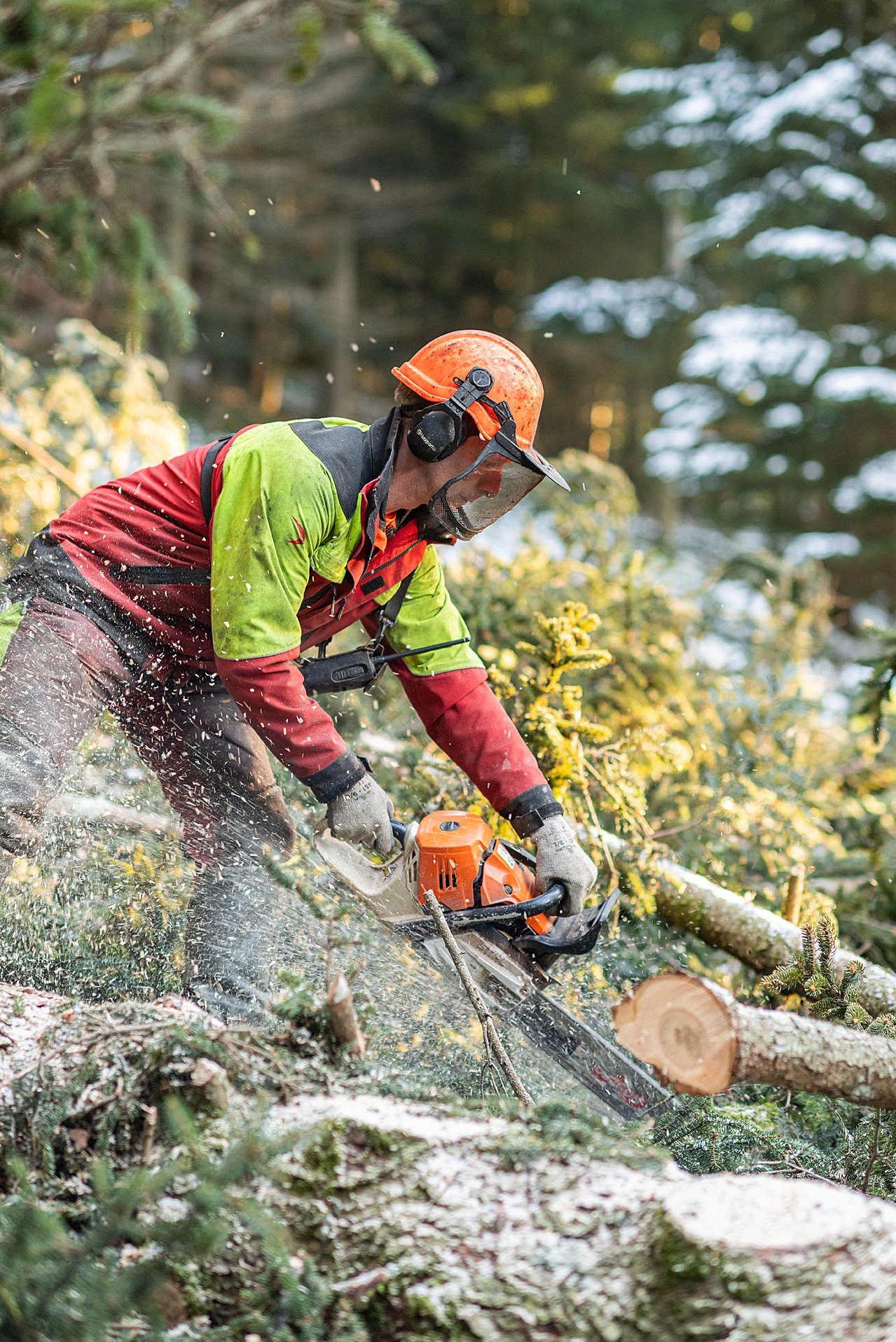 Die Sicherheit hat bei der Arbeit als Forstwart Vorrang.