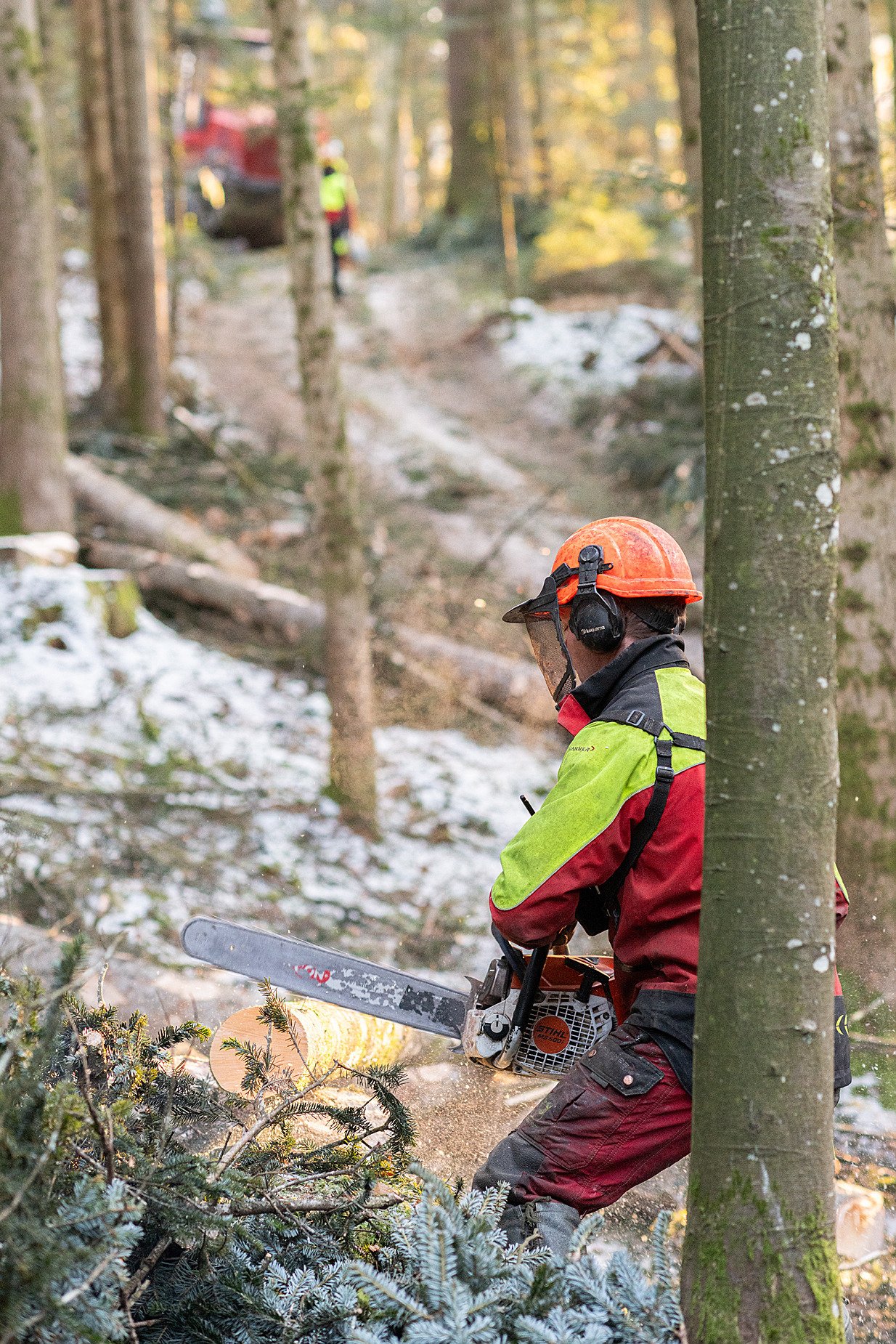 Die Motorsäge tragen die Forstwarte ständig mit.